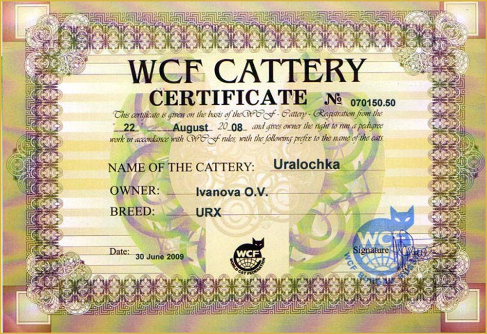 сертификат питомника кошек